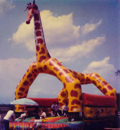 Giraffe